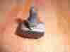 0609-903 Panther Arctic Cat 1993 Toggle Switch-spot