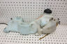 1670-423 Arctic Cat Sno Pro Oil Tank Zr Coolant Reservoir Race