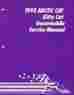 2255-125 Snowmobile Arctic Cat 1995 Kitty Service Manual P N 356