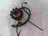 3006-750 Arctic Cat 04 05 Sabercat 500 Stator Pick Up Coil Item 848