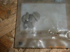 420-2460-50 420246050 Ski Doo Nos Bombardier Snowmobile Flywheel Key Set Of 8