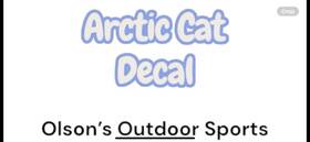 0621-109 Arctic Cat Snowmobile Lh Lower Side Panel Decal #0621-109
