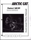 2256-875 Pantera Efi Cat 600 Manual Arctic Snowmobile Parts 2004 564