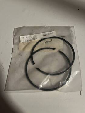 3083874 Polaris Oem Piston Ring Set