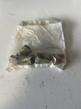 250000029 Ski-doo Oem Bolt Lot Of 5