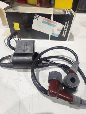 420965591 Ski-doo New Oem Coil Cdi Box Mxz 440 Formula Sl Safari Skandic Touring Le 503