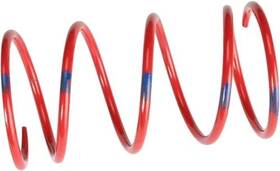 210064 Team New Oem Venom Products Secondary Clutch Spring Red/dark Blue 140-200