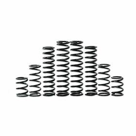 K30-ka1001-0 Zbroz Dual Rate Spring Kit