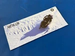 Vintage 1995 Arctic Snowmobile Full Line Sales Brochure Thundercat Wildcat. Fixed Price $11.90.