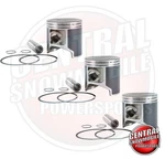 3X Piston Kits Arctic Cat 600 Zrt Ext Powder Triple 95-00 66.5MM (std) 3005-627. Fixed Price $219.95.