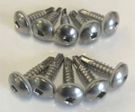 Triton 07967-S Silver Skin Screws 10 Pack. Fixed Price $12.99.