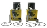 Polaris Indy 600, 2013-2018, Pro-x Pistons W/ Bearings. Fixed Price $189.46.