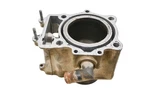 97 Arctic Bearcat 454 4X4 Cylinder. Fixed Price $99.99.