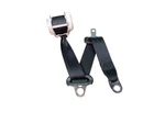Rear Right Belt For Toyota Aygo (KGB1, WNB1) 1.0 733600H010C3. Fixed Price $69.24.