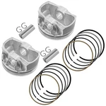 Caltric 2205244 2204949 2205245 Cylinder Piston Kit W/ Rings For Polaris Qty. Fixed Price $69.00.