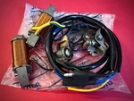 Fuji Nos Ignition Coil Assembly BE80F F480 Rupp RMT-80 Chaparral ST-80 Gemini. Fixed Price $99.99.