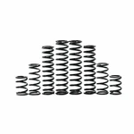 Zbroz K30-KA1001-0 Dual Rate Spring Kit Kawasaki Krx 1000 Teryx. Fixed Price $788.36.