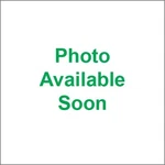 Camso Replacement Bogie Wheels 7016-00-2260. Fixed Price $130.99.