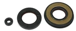Arctic F7 Firecat 700, 2003-2006, Crank/crankshaft & Water Pump Seal Kit. Fixed Price $46.88.