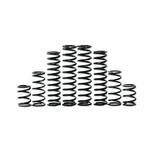 Zbroz Racing Dual Rate Spring Kit K30-KA1001-0 249-6017. Fixed Price $891.88.