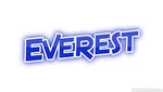 Everest EVRDG04-00 Door Gasket (16X 25) For Right Side. Fixed Price $129.07.