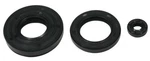 Arctic Cat Cheetah Touring 440, 1991 1992 1993, Crankshaft Oil Seal Kit. Fixed Price $13.42.