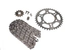 Polaris Xpress 300 2X4, 1996-1999, Chain And 12/38 Sprocket Set. Fixed Price $47.99.