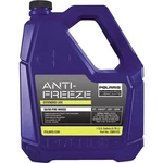 Polaris Extended Life Anti-freeze Gallon 2880513. Fixed Price $32.99.
