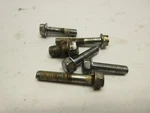 1989 Kawasaki 454 Ltd Water Pump Cover Bolts. Fixed Price $10.75.
