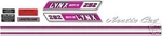 1972 Arctic Cat Lynx 292 Decal Graphic Kit Like Nos. Fixed Price $84.99.