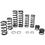 Zbroz K25-PL1033-0 Dual Rate Spring Kit. Fixed Price $899.95.