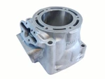 Polaris Fusion Rmk Switchback 900 Cylinder 3021563 2006. Fixed Price $485.99.