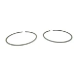 Arctic Cat Piston Ring Set (oem Part Number: 3002-738). Fixed Price $63.00.