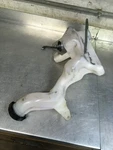 Arctic F5 Sabercat Firecat Oil Tank. Fixed Price $22.50.