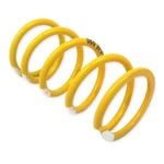 Arctic Cat Drive Clutch Spring (yellow/white), 0646-229. Fixed Price $53.95.