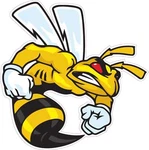 Ski-doo Angry Bee Decal. Fixed Price $6.99.