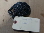 3084915 3084916 3084917 Polaris Oem Timing Chain, Guard & Lever. Fixed Price $35.00.