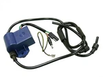 Spi Cdi Modular For Ski-doo Replaces Oem# 420965591. Fixed Price $109.95.