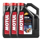 Motul Snowpower 12 Liters Synth Premix Oil Injection Stroke Motor 3 4L. Fixed Price $109.95.