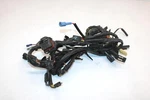 03 Arctic Firecat 500 Sno Pro Oem Main Wire Harness 0686-935 SA259. Fixed Price $34.39.