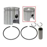 Spx Piston Kit Sachs 89-1110. Fixed Price $48.21.