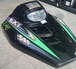Black Hood With Decals Arctic Cat Ext 580 Snowmobile Pick Up Only Michigan. Fixed Price $125.00.