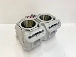 Ski Doo Mxz, Summit, Renegade P-tek 800R Etec Spi Cylinder New 2008-2017. Fixed Price $474.00.