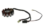 Spi Stator Assembly For Arctic Cat Snow Replaces Oem#'s 3005-636 & 3006-750. Fixed Price $164.95.
