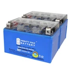 Mighty Max YTZ10SGEL 8.6AH Replaces Parts Unlimited 2113-0089 Agm Pack. Fixed Price $64.99.