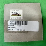Arctic Cat Oem Discontinued 550 L/c Ring Set 3003-760 New. Fixed Price $59.99.