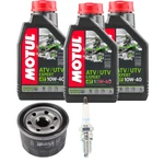 Yamaha Raptor 700 Oil Change Tune Up Kit Filter Spark Plugs Ngk Motul. Fixed Price $57.94.