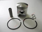 For Snowmobile Arctic Cat Pantera 580 Piston 09-681 3004-542 3004-075 Std +ring. Fixed Price $61.65.