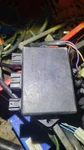 1998 1999 Yamaha SRX600 8DF-00 Cdi Unit Ecu Brain Ignition Box. Fixed Price $169.95.