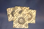 Genuine Bombardier Ski-doo Oil Seals Nos. Fixed Price $14.99.
